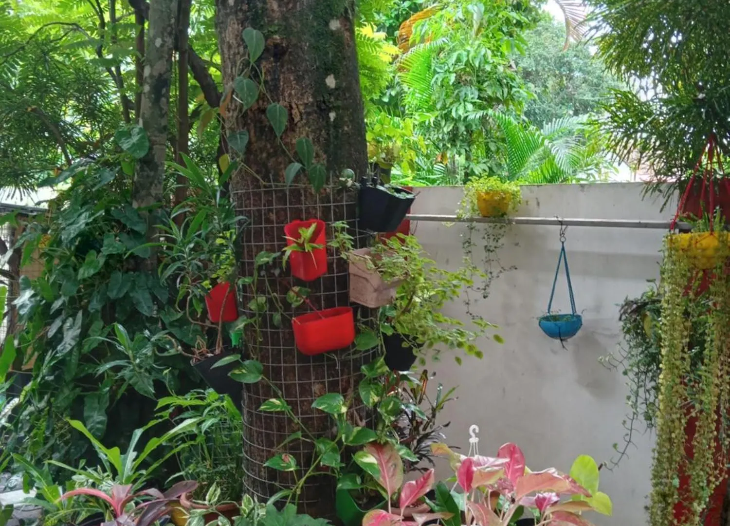 Gerards Home Stay Fortkochi Kochi